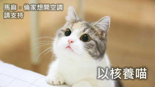 以核養喵