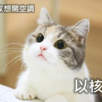 3262c29a41fcd9fc6390643ad8c1741f