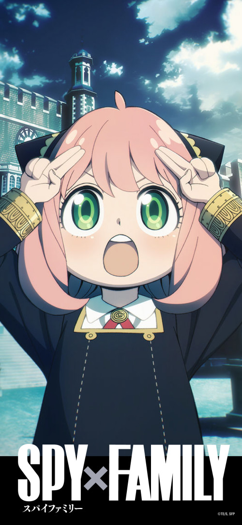 wall06